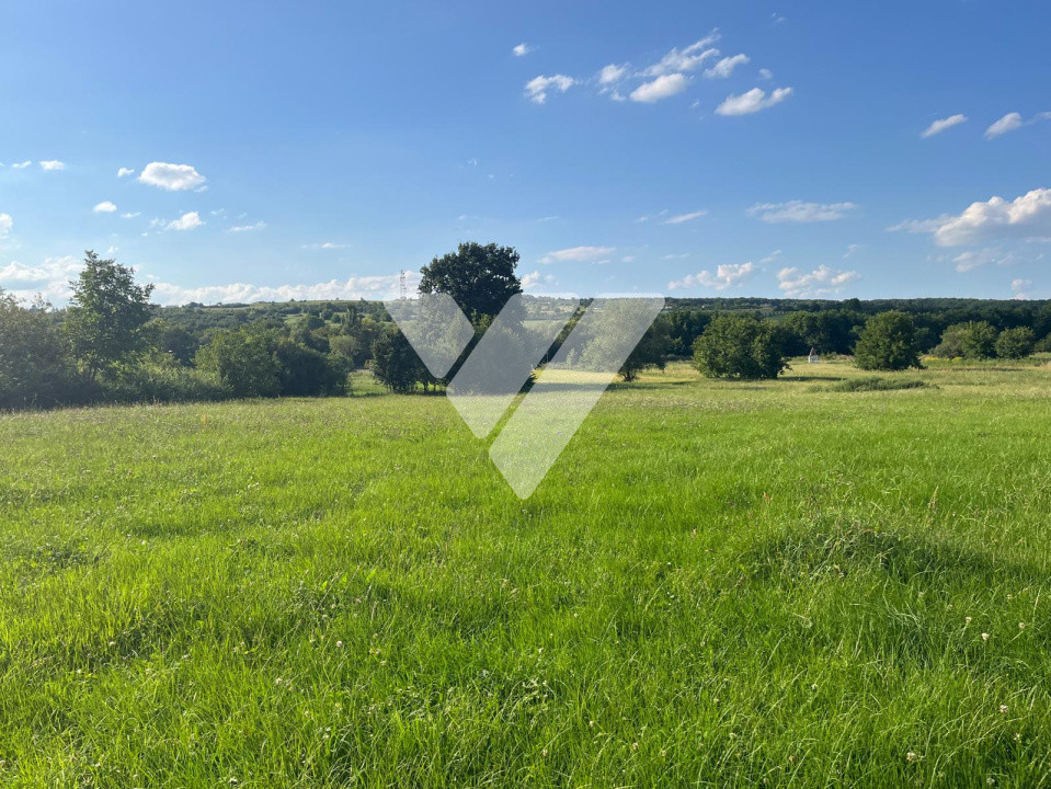 Teren pentru dezvoltare imobiliară – 9 loturi - 5764 mp Rasinari