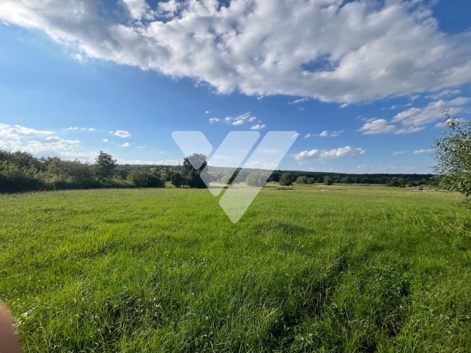 Teren pentru dezvoltare imobiliară – 9 loturi - 5764 mp Rasinari
