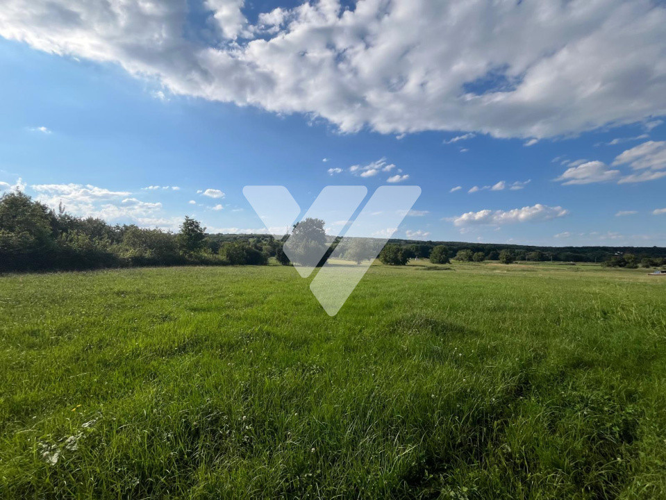Teren pentru dezvoltare imobiliară – 9 loturi - 5764 mp Rasinari
