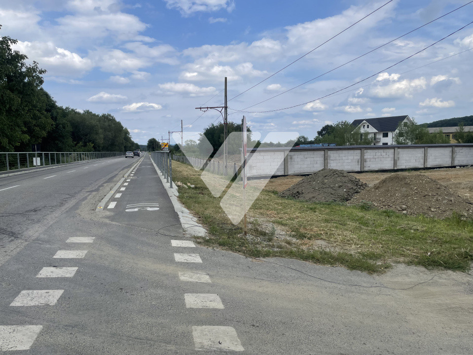 Teren pentru dezvoltare imobiliară – 9 loturi - 5764 mp Rasinari