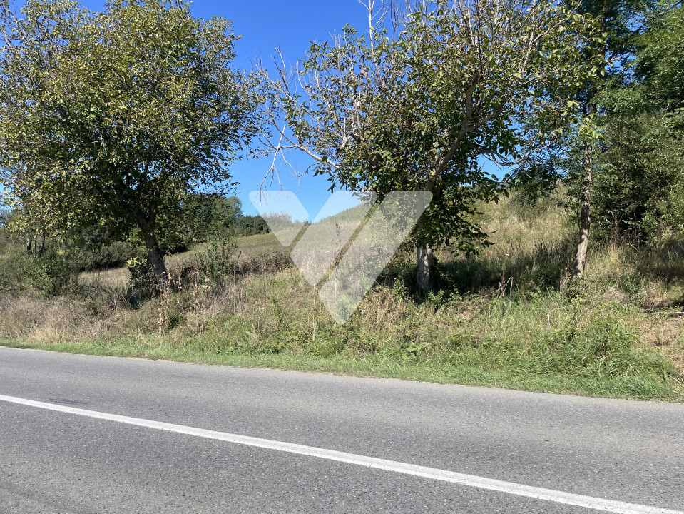 Teren intravilan cu PUZ aprobat – ideal pentru casa ta, la doar 17 km de Sibiu!