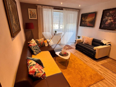 Apartament 2 camere mobilat cochet. Etaj intermediar - Zona Terezian