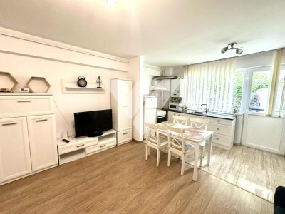 Apartament 2 camere, 45 mp utili, gradina 20 mp , zona Doamna Stanca 