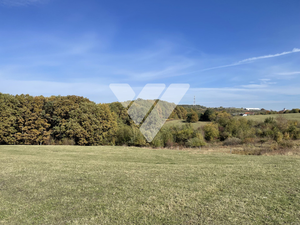 Teren extravilan 1342 mp zona linistita – Rasinari - Sibiu