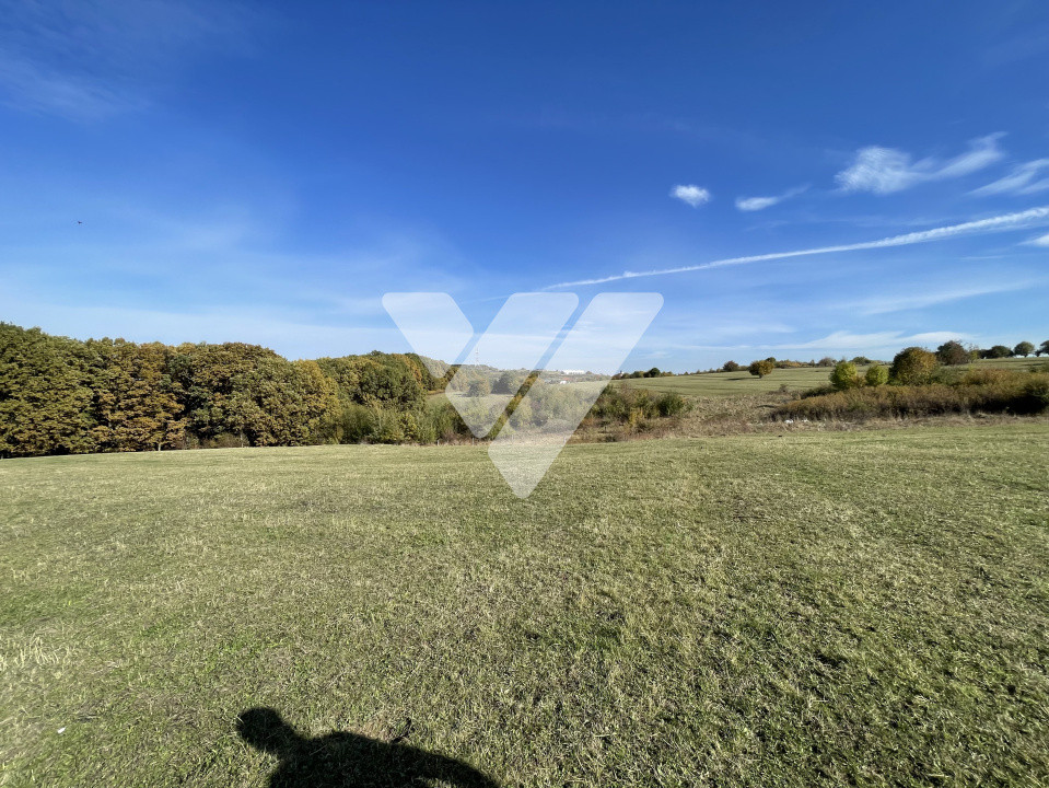 Teren extravilan 1342 mp zona linistita – Rasinari - Sibiu