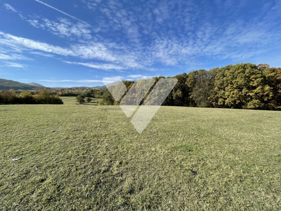 Teren extravilan 1342 mp zona linistita – Rasinari - Sibiu