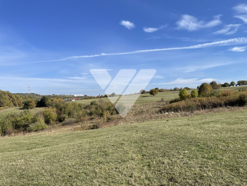 Teren extravilan 1342 mp zona linistita – Rasinari - Sibiu