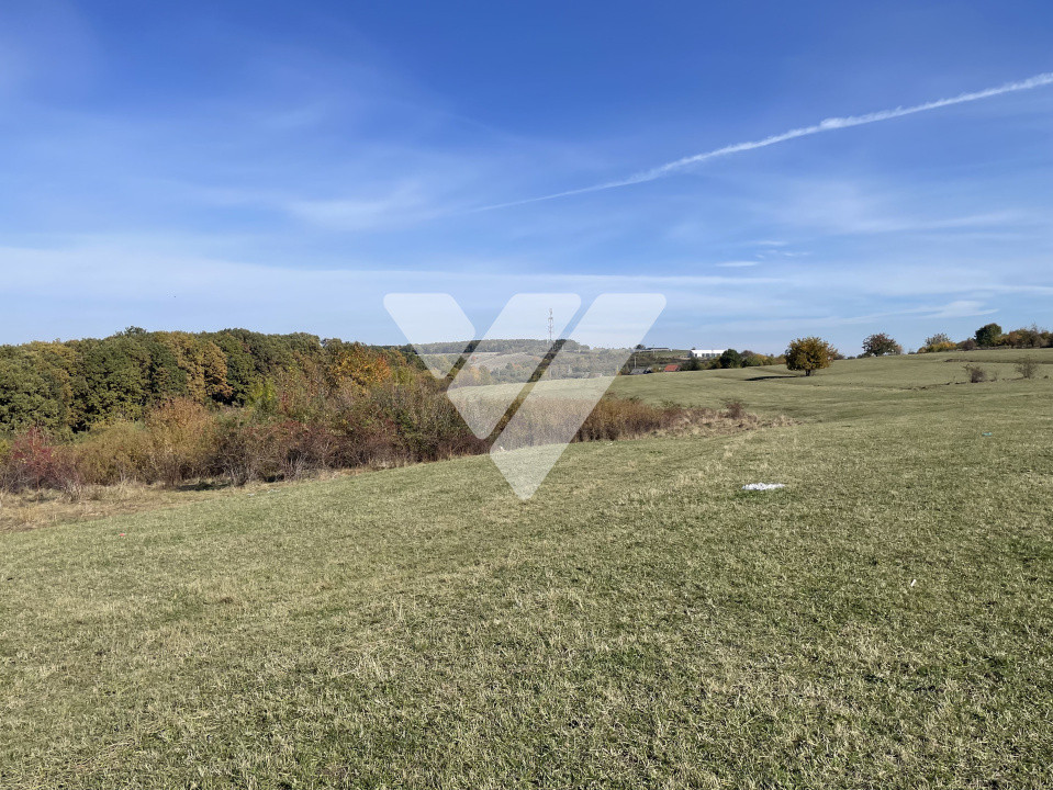 Teren extravilan 1342 mp zona linistita – Rasinari - Sibiu