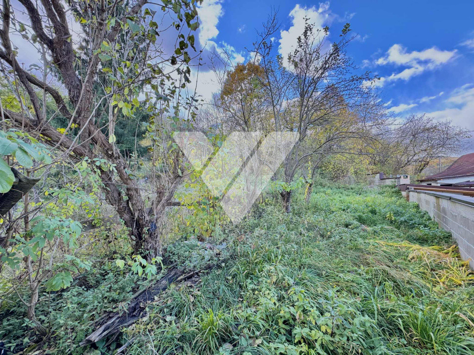 Casa 3 camere, 432 mp teren - Cisnadioara