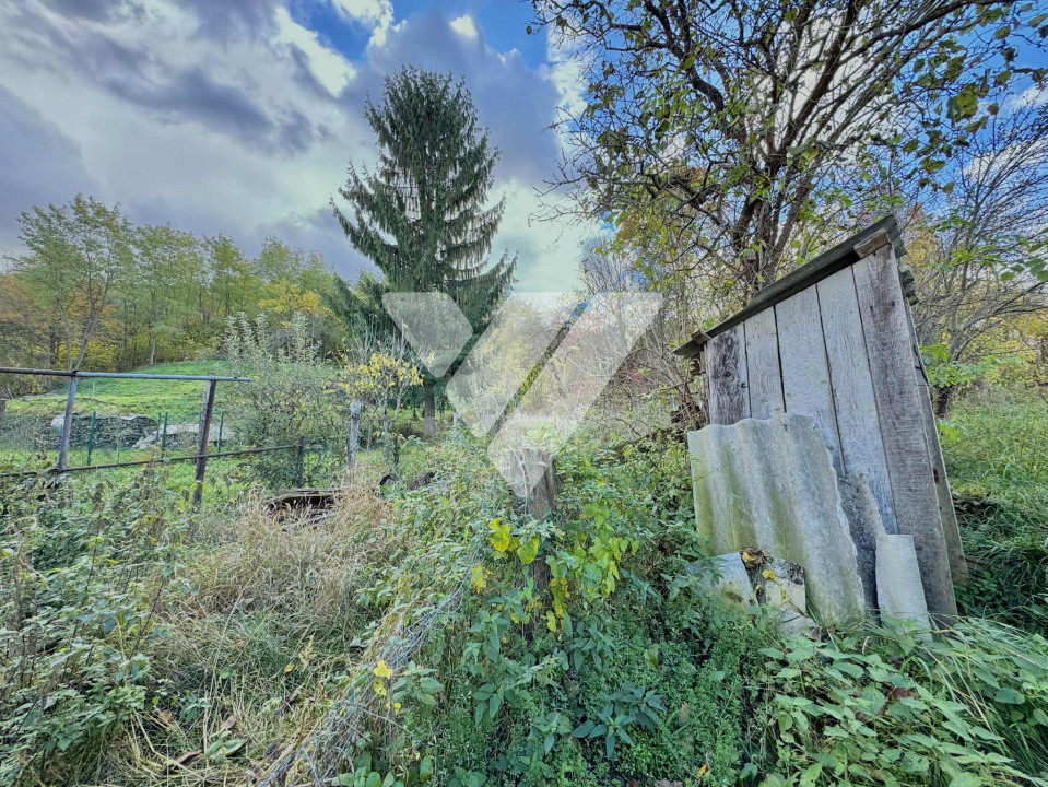 Casa 3 camere, 432 mp teren - Cisnadioara