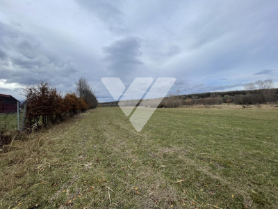 Teren intravilan pentru dezvoltare rezidentiala 4400 mp