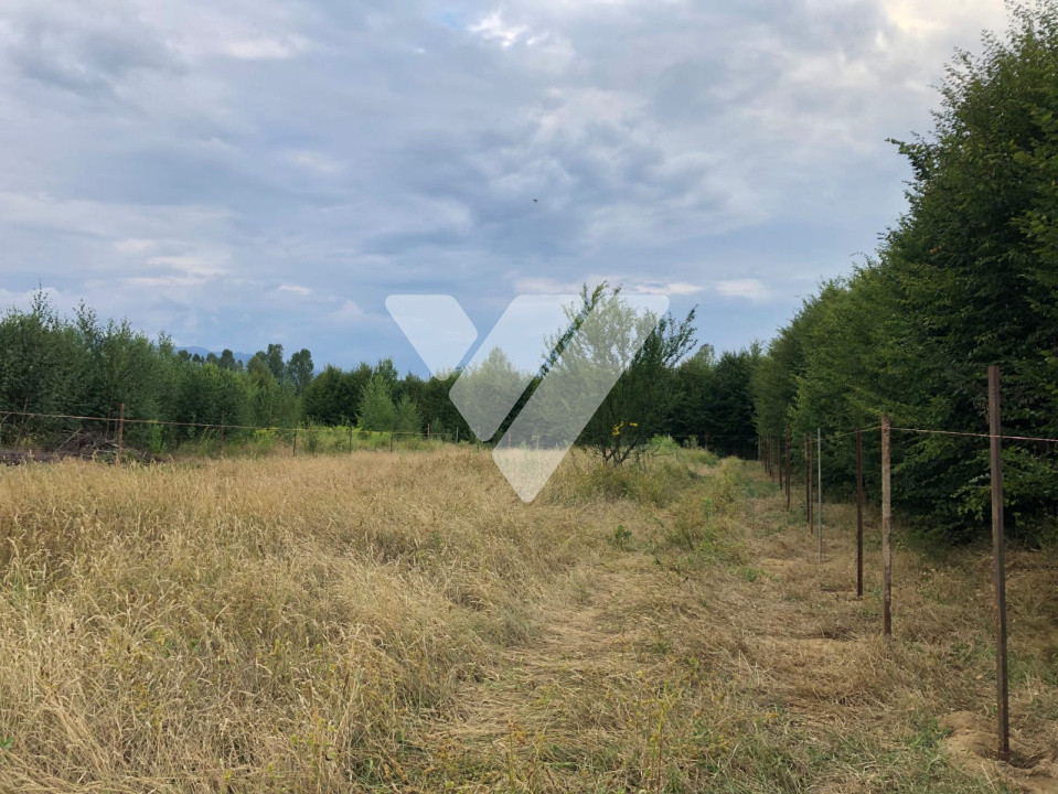 Teren Intravilan  – Valea Avrigului, 2000 mp