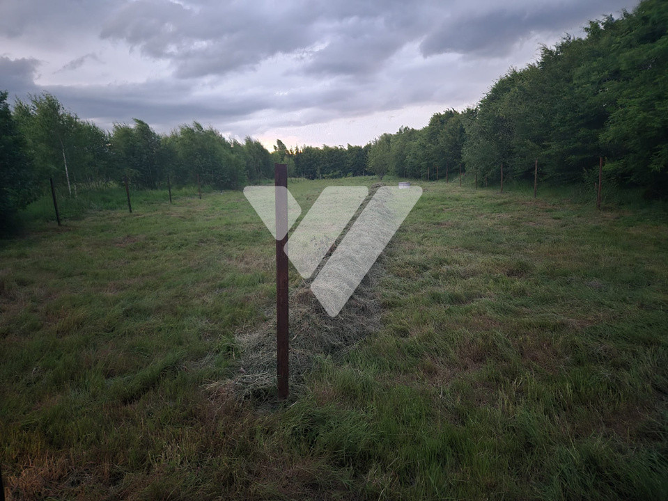 Teren Intravilan  – Valea Avrigului, 2000 mp