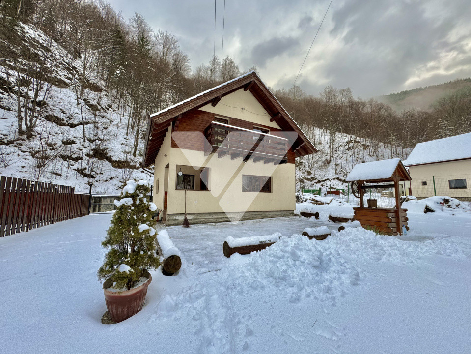 Cabană pe Râul Sadului  120 mp utili Teren 685 mp Zonă montană