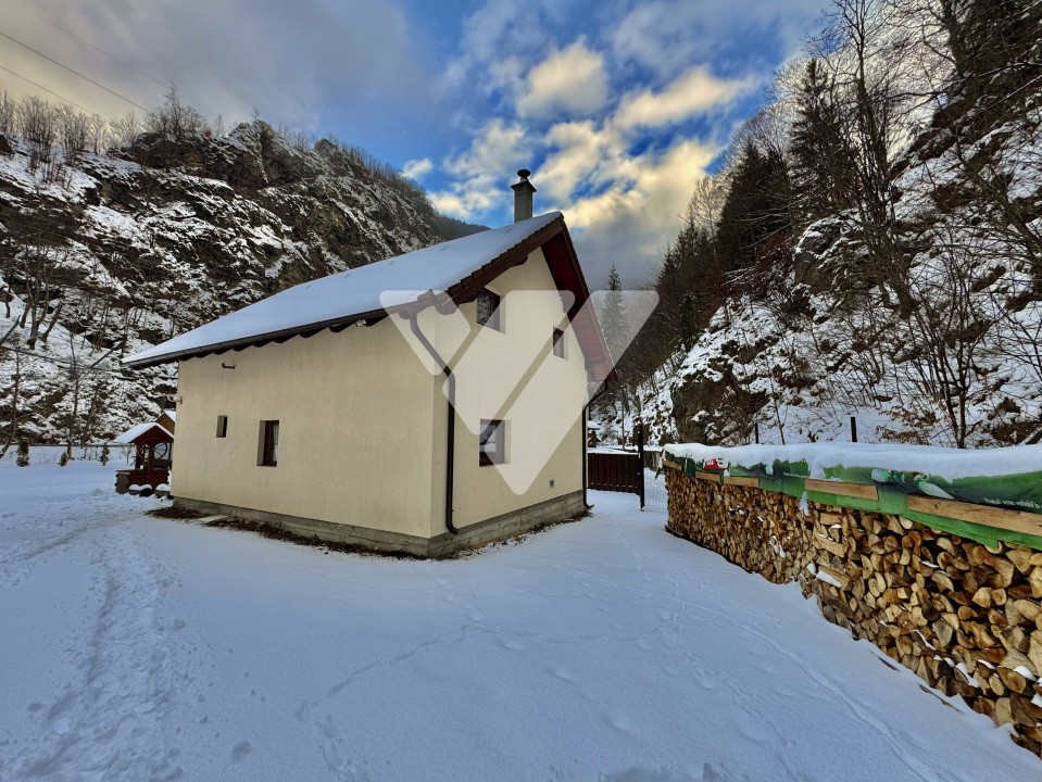 Cabană pe Râul Sadului  120 mp utili Teren 685 mp Zonă montană