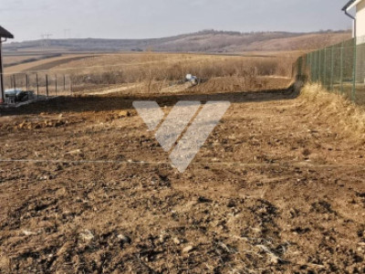 Teren Intravilan 750 mp de vanzare in Hamba Sibiu