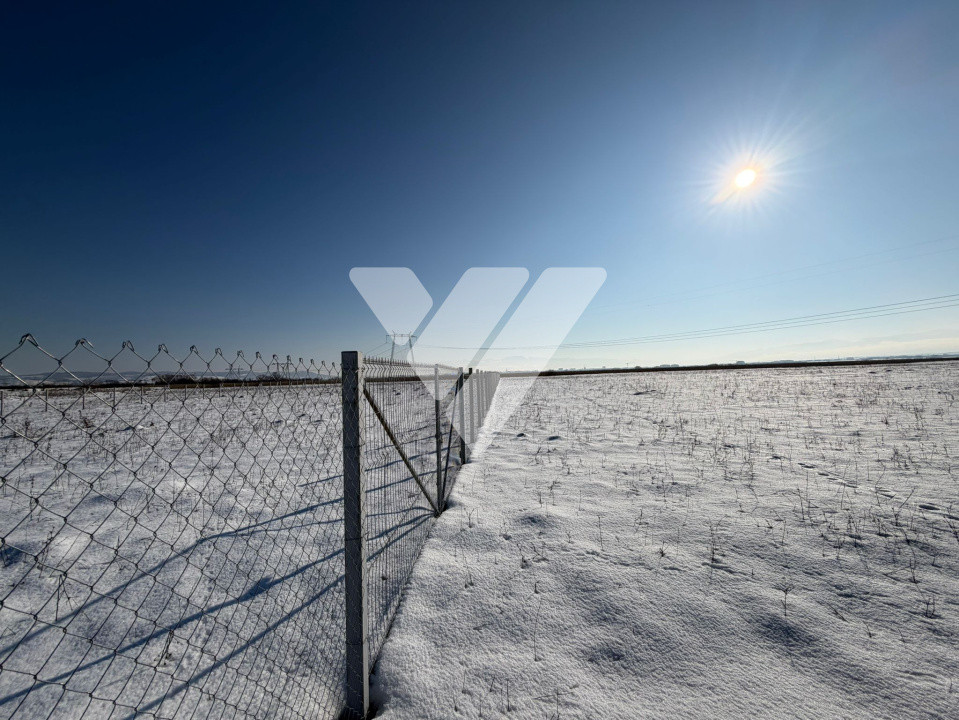 Teren agricol 4200 mp pretabil investitie imprejmuit ,Calea surii mici