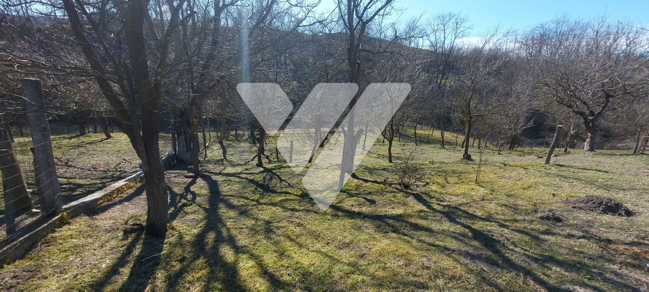 Casa individuala din 2 corpuri ,6 camere, 2 bai, 3 pivnite, 2109 mp, Rusi ,Sibiu