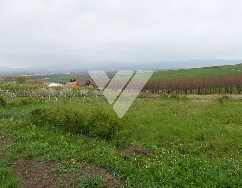 Investitie - Teren intravilan 536 mp Sura Mare ideal construcții