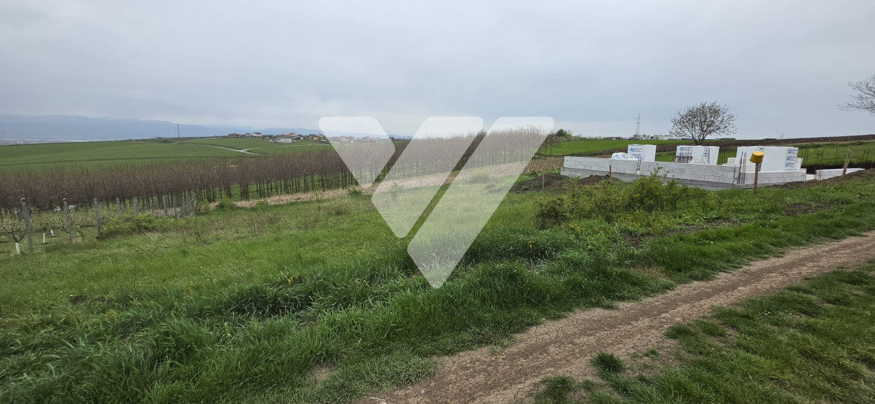 Investitie - Teren intravilan 536 mp Sura Mare ideal construcții