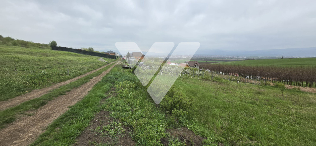 Investitie - Teren intravilan 536 mp Sura Mare ideal construcții