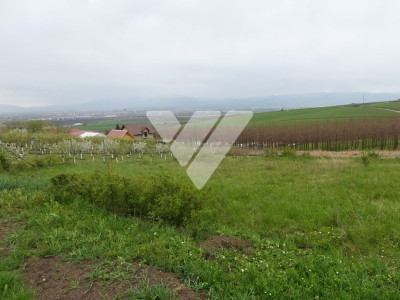 Investitie - Teren intravilan 536 mp Sura Mare ideal construcții