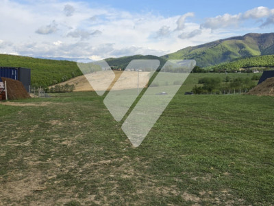 Teren 3.971 mp intravilan Tocile – investiție dezvoltare imobiliară