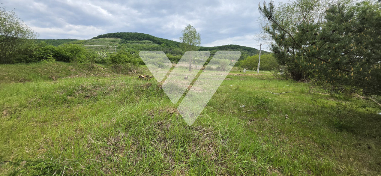 Teren intravilan industrial 2.779 mp de vânzare, DN1 Cristian, Sibiu
