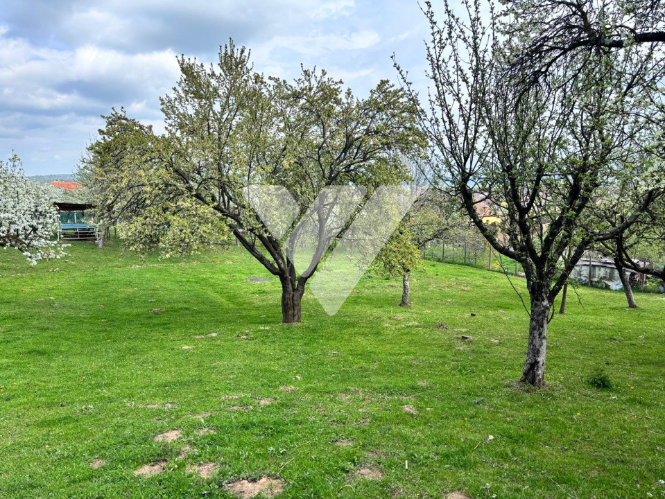 Teren de vanzare - Saliste - Intravilan  -  430 MP 