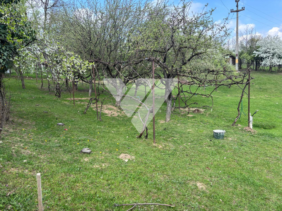 Teren de vanzare - Saliste - Intravilan  -  430 MP 