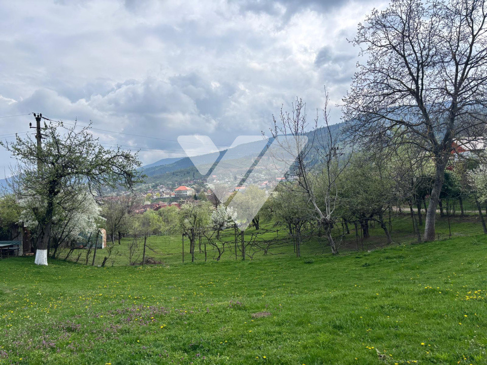 Teren de vanzare - Saliste - Intravilan  -  430 MP 