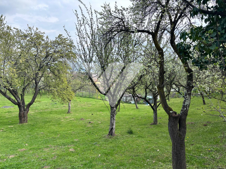 Teren de vanzare - Saliste - Intravilan  -  430 MP 