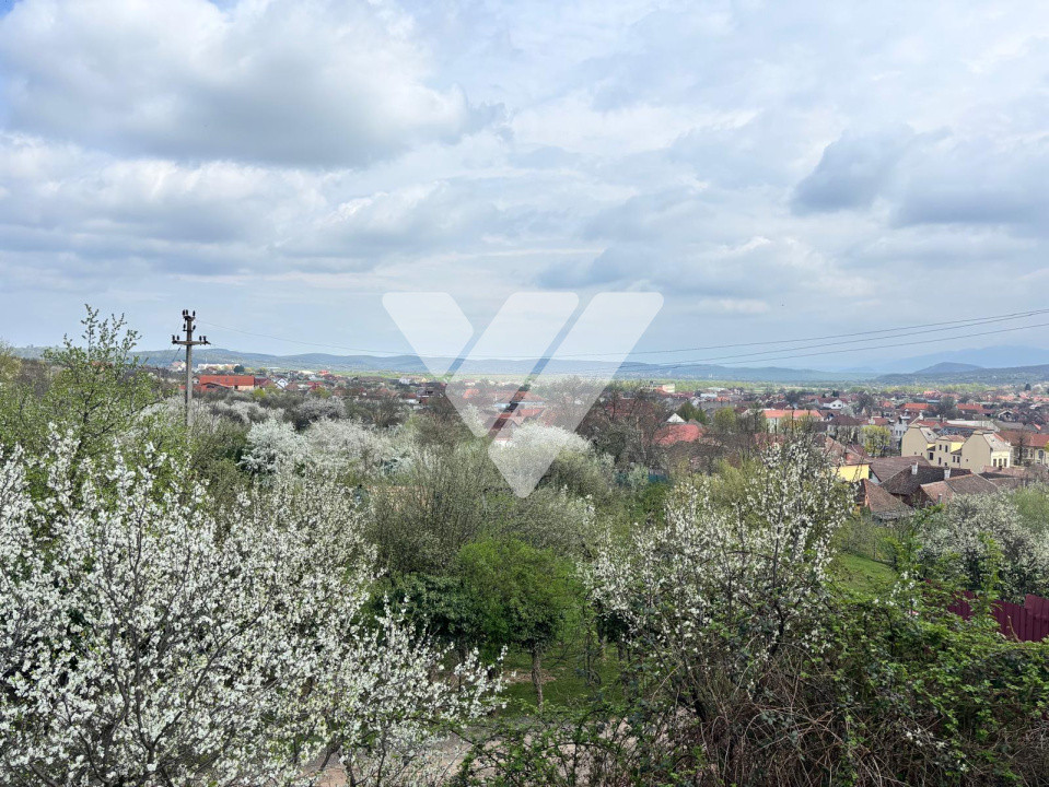 Teren de vanzare - Saliste - Intravilan  -  430 MP 