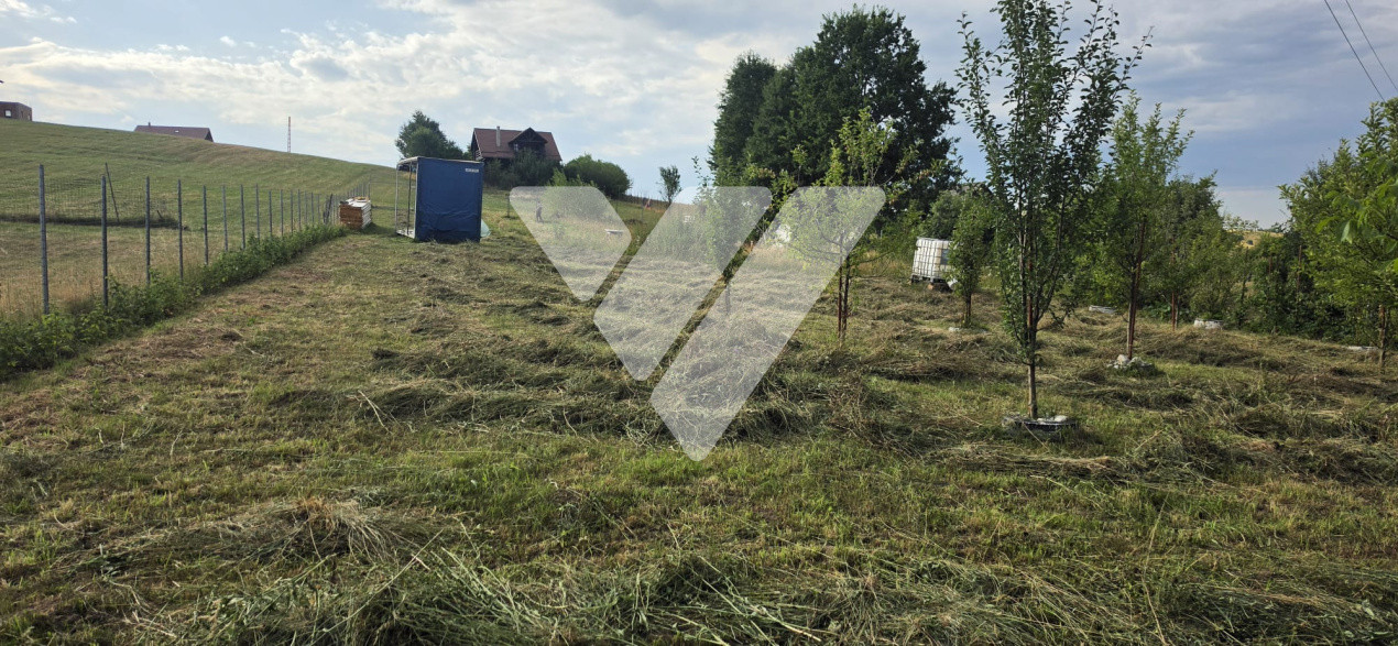 Teren intravilan 2014 mp de vanzare in Tocile Sibiu - parcelabil