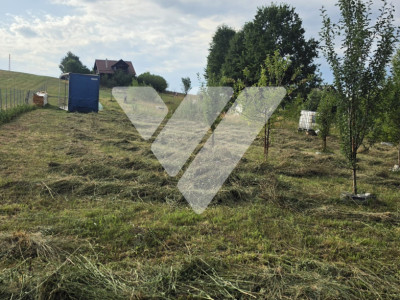 Teren intravilan 2014 mp de vanzare in Tocile Sibiu - parcelabil