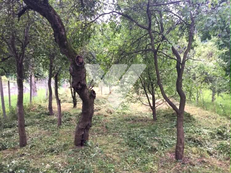 Casa individuala, 2 corpuri cladire si teren 760 mp - Saliste Sibiu