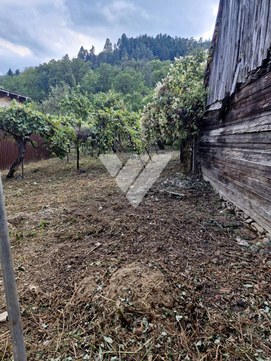 Casa individuala, 2 corpuri cladire si teren 760 mp - Saliste Sibiu