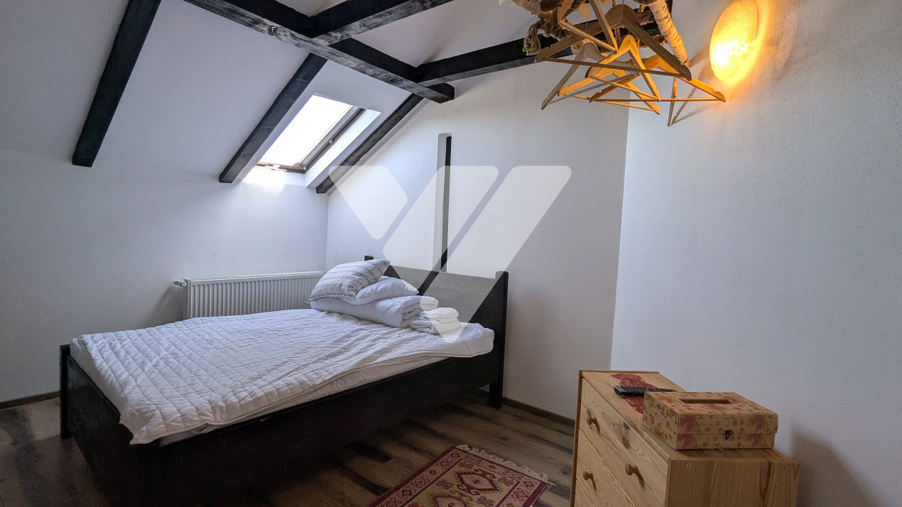 CABANĂ PĂLTINIȘ / SIBIU -priveliște superbă / Oportunitate de BUSINESS