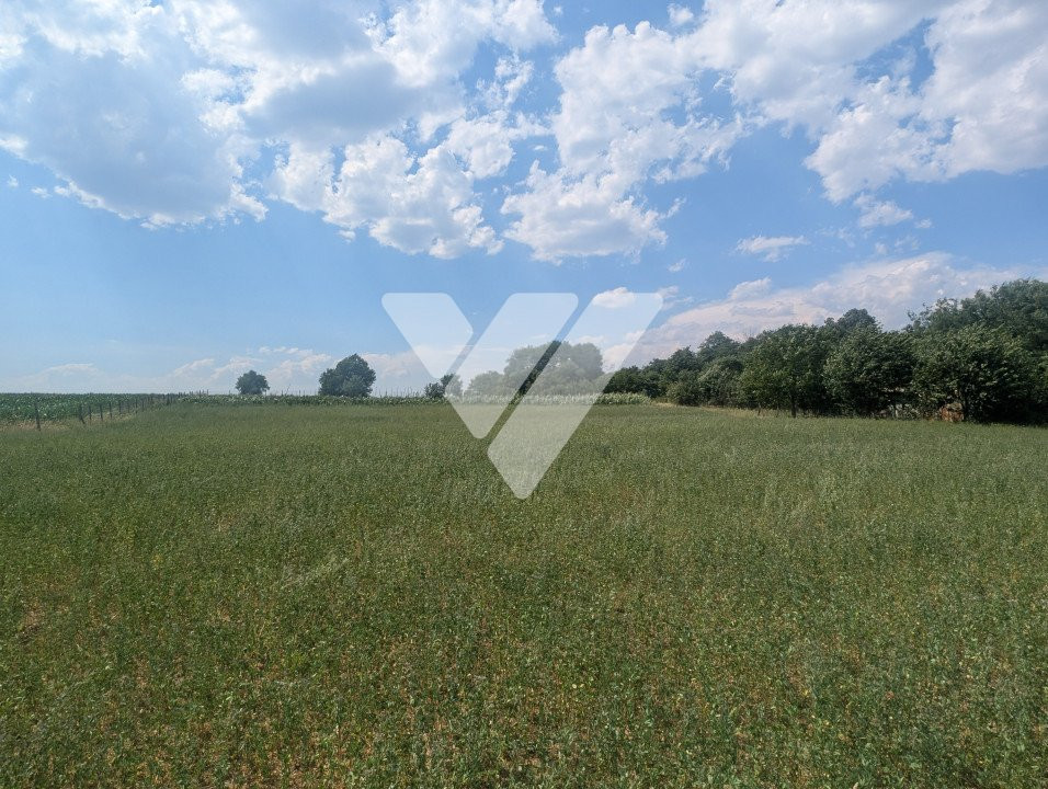 Teren intravilan 1670 mp cu vedere spre lacuri Ocna Sibiului