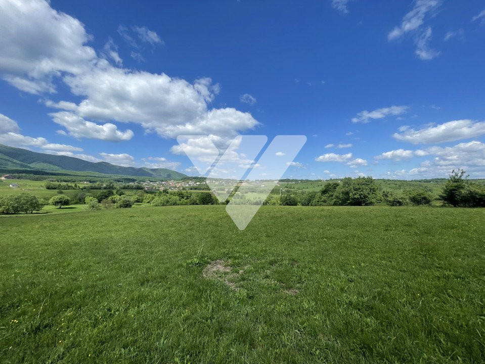 Oportunitate investitie - Teren 500 mp - 700 mp in Tocile Sibiu
