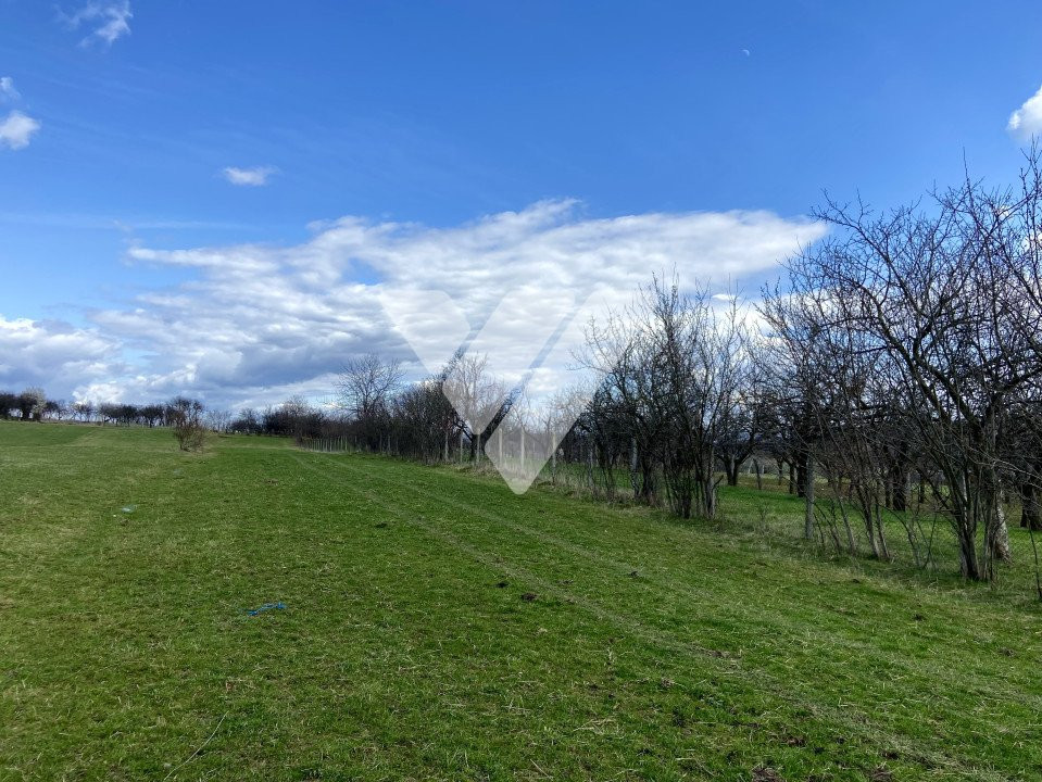 Teren extravilan - Răsinari - priveliște panoramică către munte