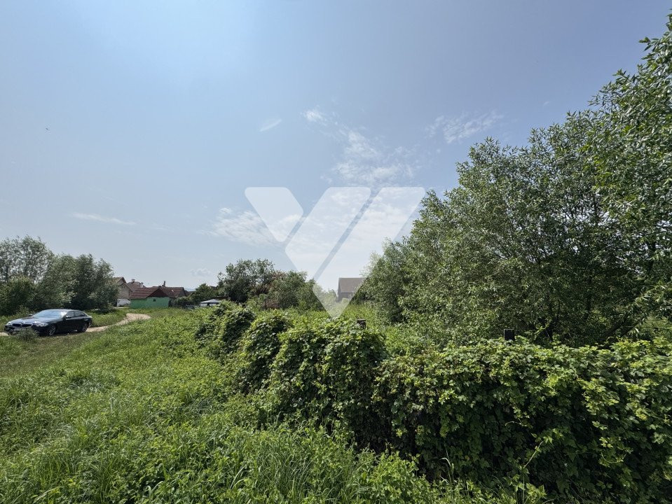 Teren intravilan constructie casa 959 mp in Cristian Sibiu