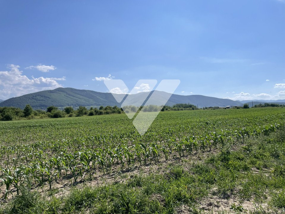Teren extravilan arabil – 1300 mp in Poplaca