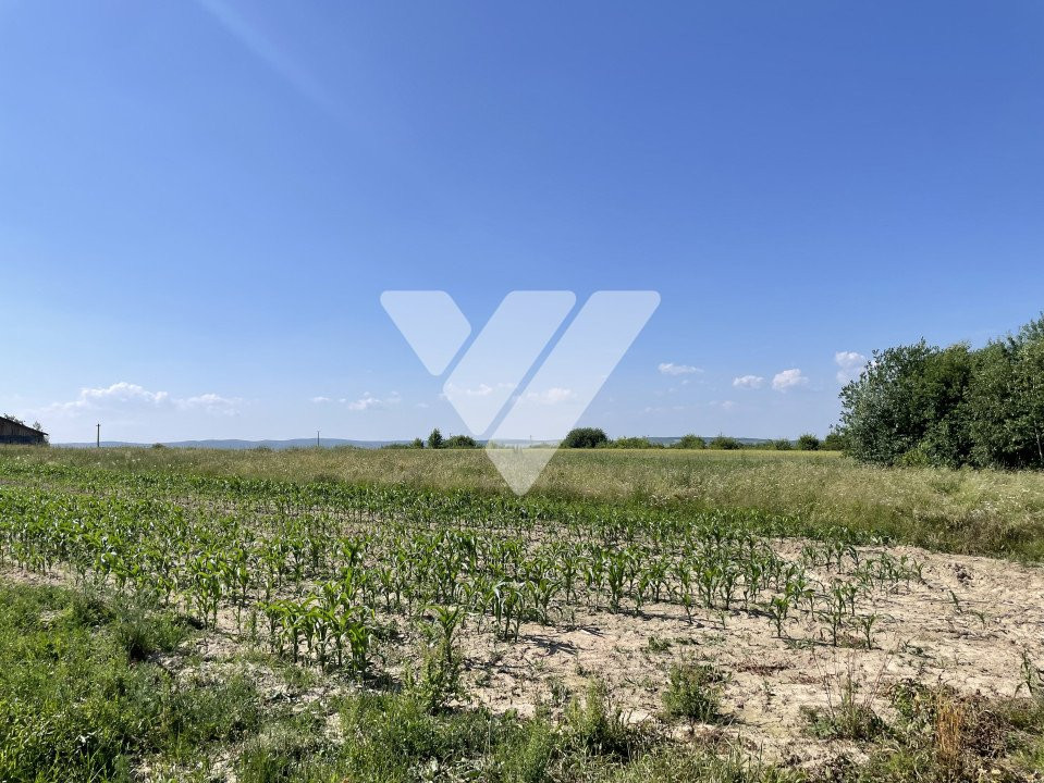 Teren extravilan arabil – 1300 mp in Poplaca