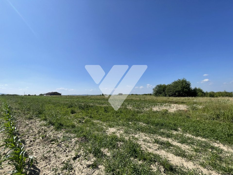 Teren extravilan arabil – 1300 mp in Poplaca