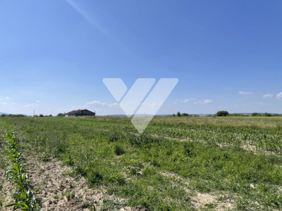 Teren extravilan arabil – 1300 mp in Poplaca