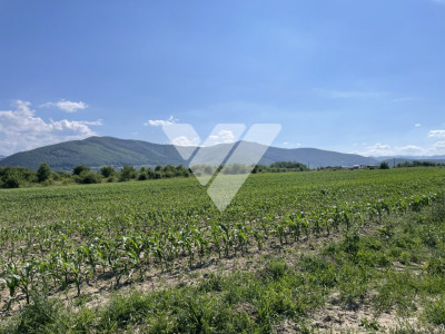 Teren extravilan arabil – 1300 mp in Poplaca