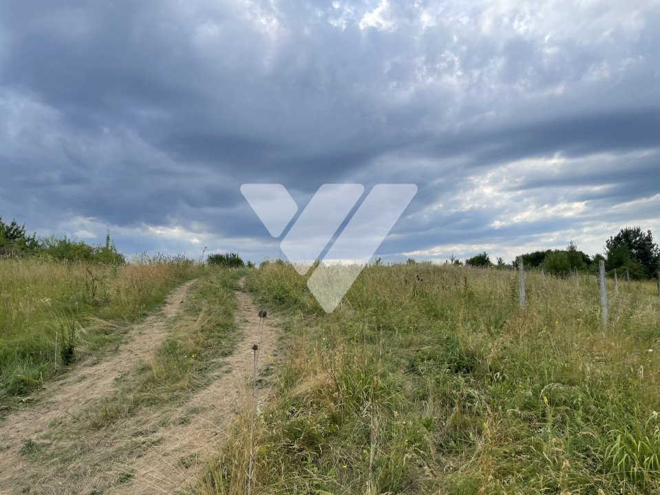 Teren intravilan 1200 mp – Poplaca, Sibiu – Investitie ideala